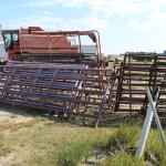 Assorted used gates and panels 