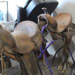 Hi-back saddles 