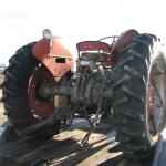 65 MF Gas Tractor 