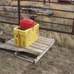 Small electric waterer 