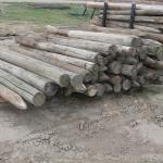 Used fence/gate posts 