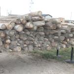 Used fence posts 