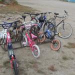 Assorted Bikes 
