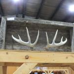 Deer Shed Hat/coat rack